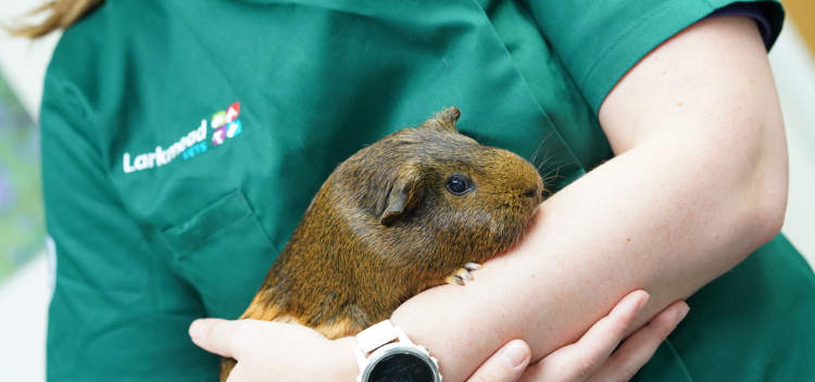 Thanks for submitting your membership request