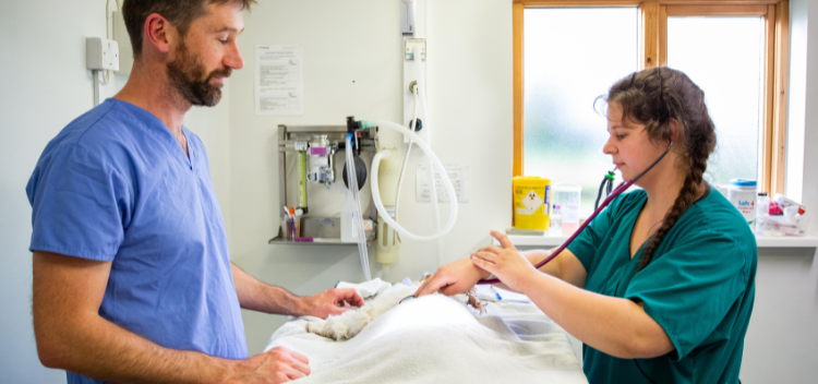 Thanks for submitting your enquiry