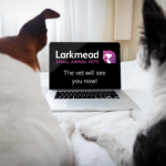 Our Video Consultation Service