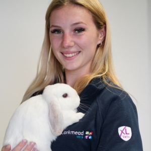receptionist holding a rabbit