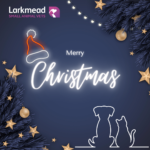 Tis the Season to be Careful . . .