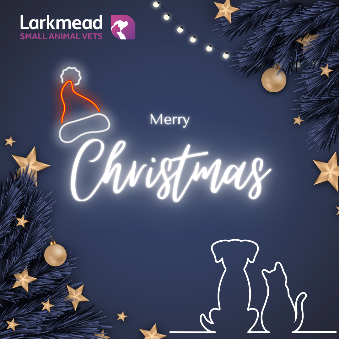 Tis the Season to be Careful . . .