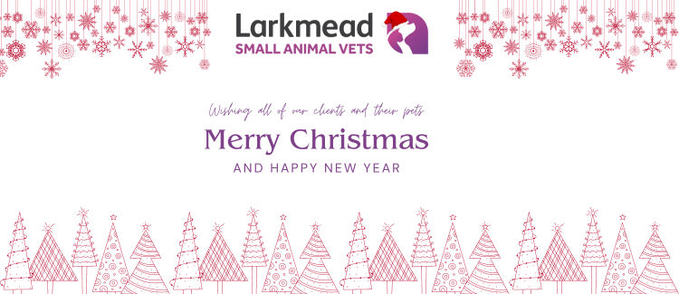 Christmas Opening Hours