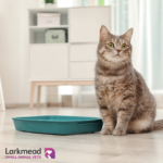 Collecting Urine Samples