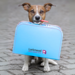 Travelling Abroad with your Pet