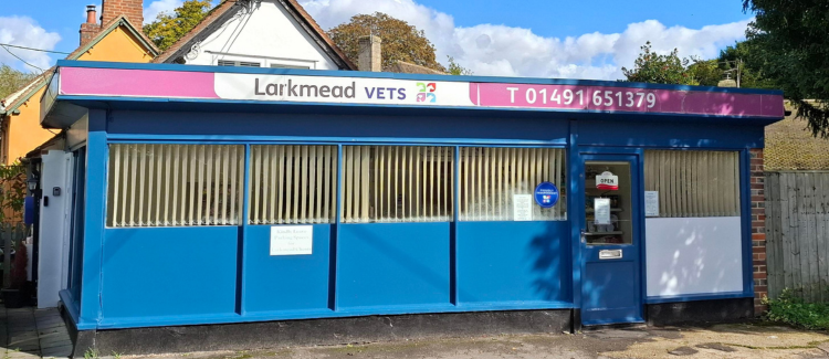 Vet Consultations & Pet Care in Benson