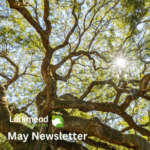 May Newsletter
