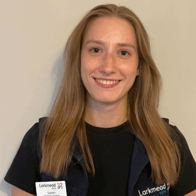 Lauren Telford BVMedSci (Hons) BVM BVS MRCVS