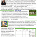 September Newsletter