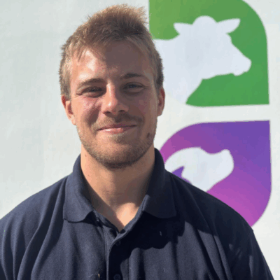 Tom Mitchell BVM BVS MRCVS