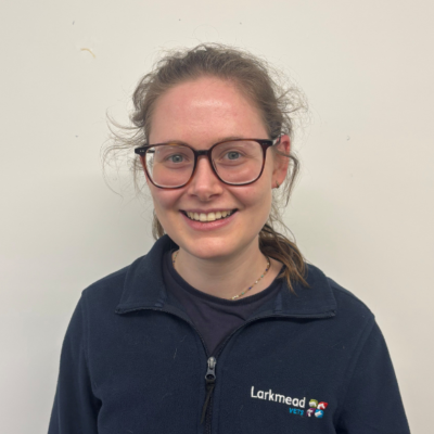 Daisy Pennycook BVSc MRCVS