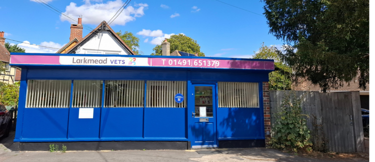 Vet Consultations & Pet Care in Benson